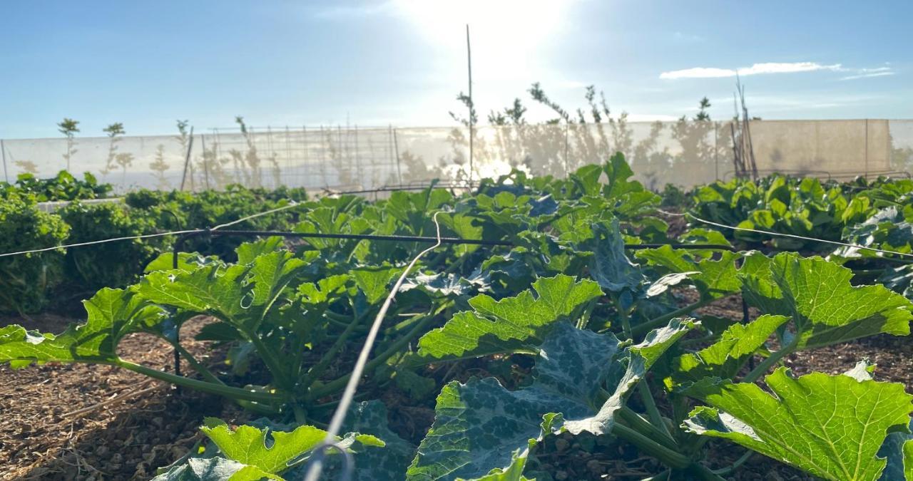 Finca Gaia La Segunda ギア・デ・イソラ エクステリア 写真