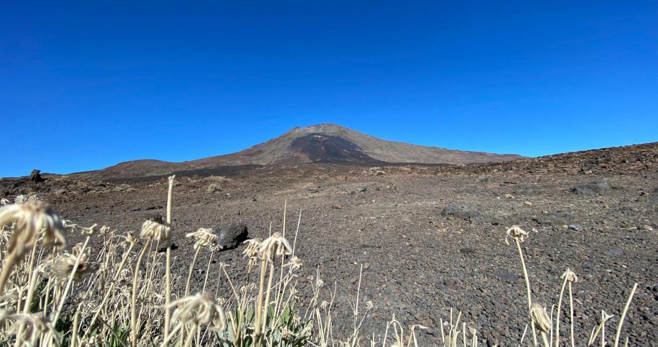 ギア・デ・イソラ Finca Gaia La Segundaゲストハウス エクステリア 写真