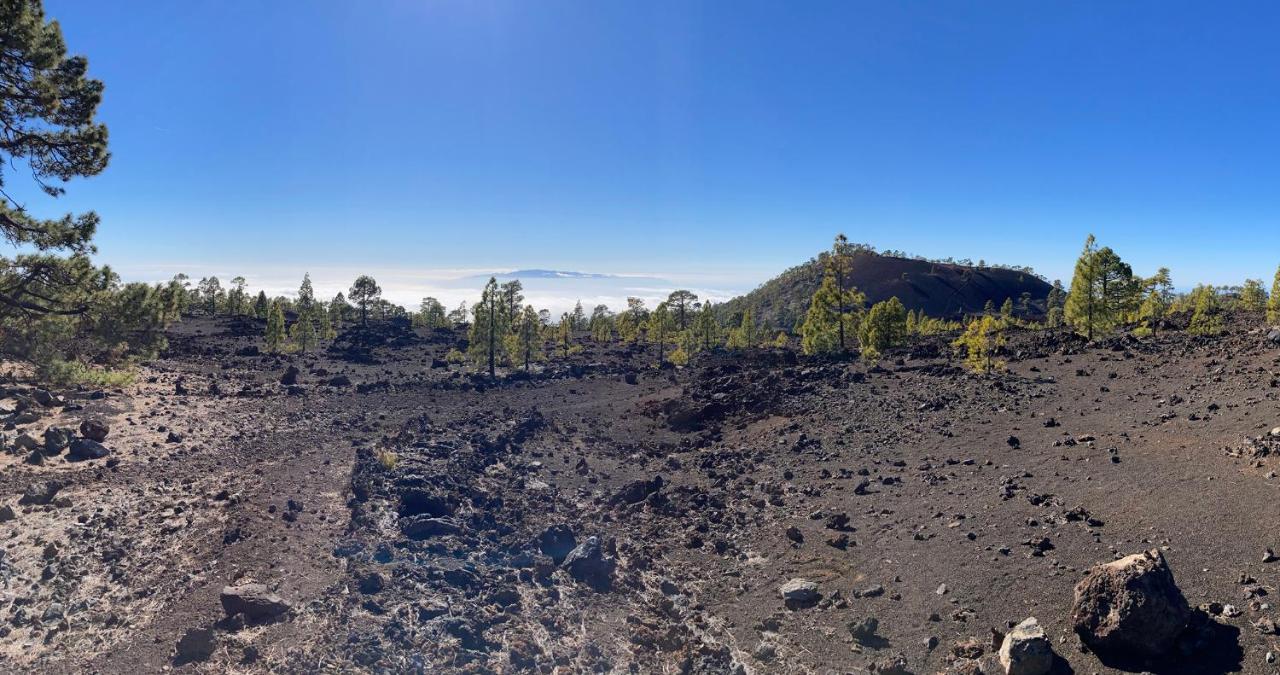 ギア・デ・イソラ Finca Gaia La Segundaゲストハウス エクステリア 写真