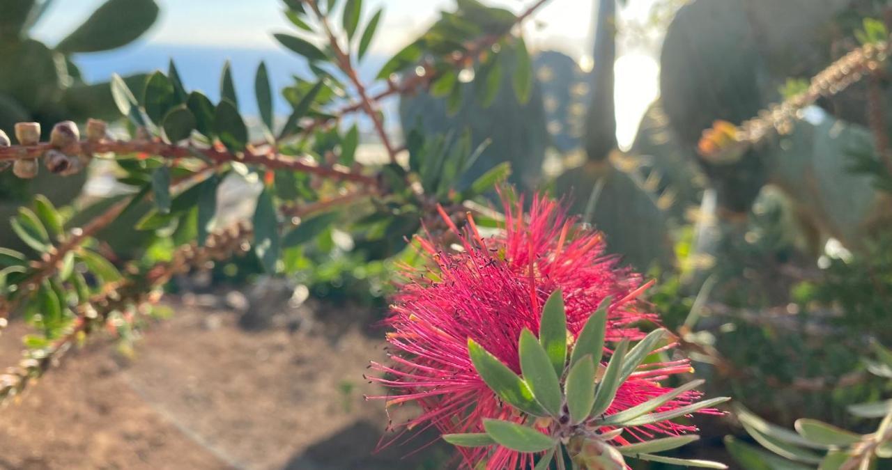 ギア・デ・イソラ Finca Gaia La Segundaゲストハウス エクステリア 写真