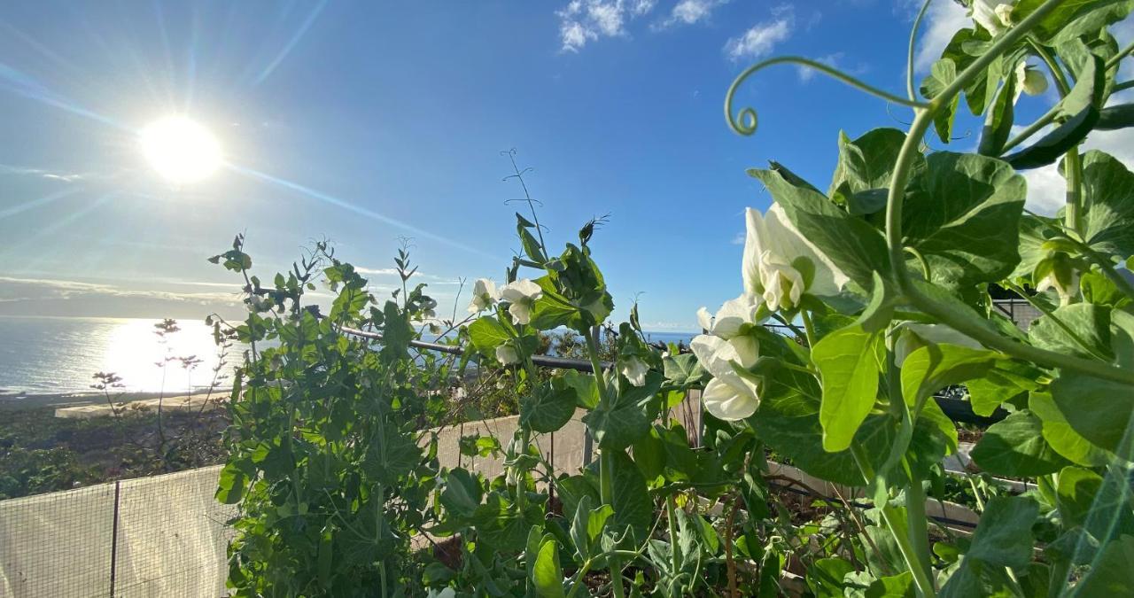 Finca Gaia La Segunda ギア・デ・イソラ エクステリア 写真