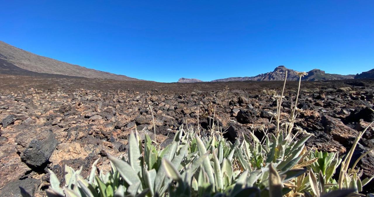 ギア・デ・イソラ Finca Gaia La Segundaゲストハウス エクステリア 写真