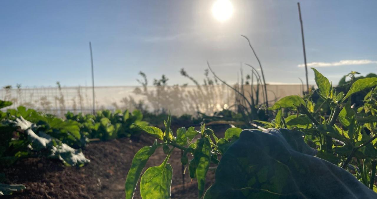 Finca Gaia La Segunda ギア・デ・イソラ エクステリア 写真