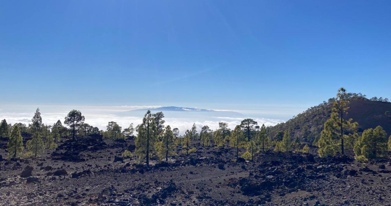 ギア・デ・イソラ Finca Gaia La Segundaゲストハウス エクステリア 写真